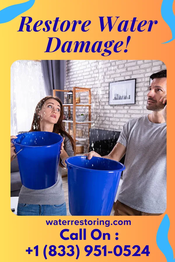 water restoration Pro Cleanup Experts Avalon