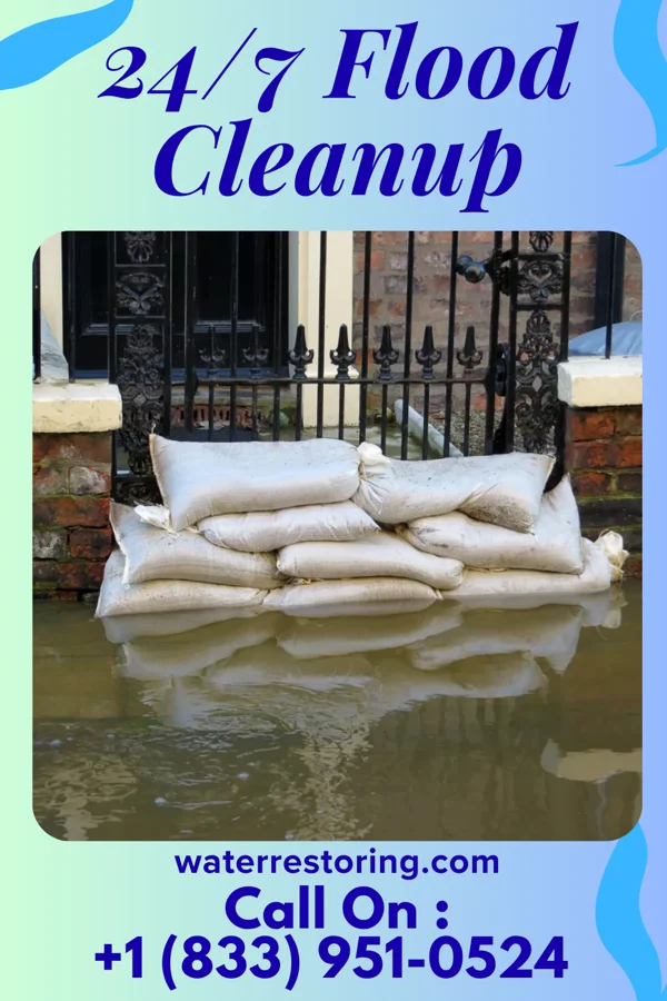 24/7 Flood Cleanup in Avalon, FL