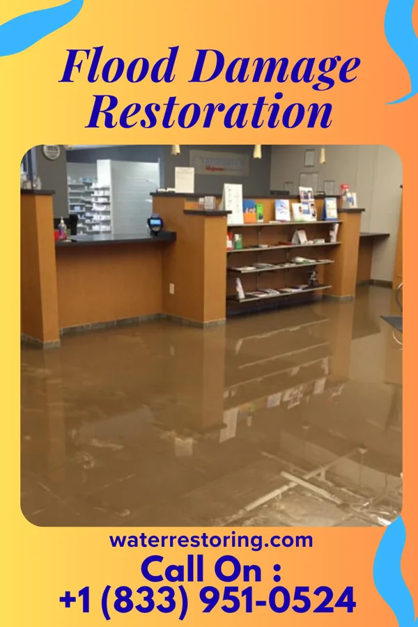 Flood Damage Restoration in Avalon, FL